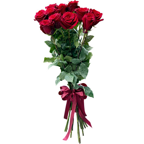 Фото товара 11 метровых роз в Кременчуге