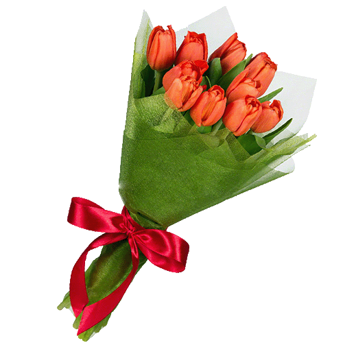 Фото товара 11 красных тюльпанов в Кременчуге