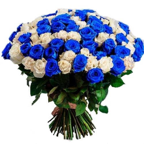 Фото товара 101 белая и синяя роза (крашеная) в Кременчуге