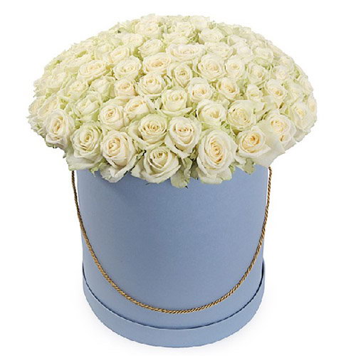 Фото товара 101 роза белая в шляпной коробке в Кременчуге