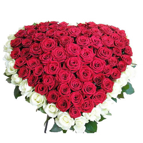 Фото товара 101 роза сердцем - белая, красная в Кременчуге