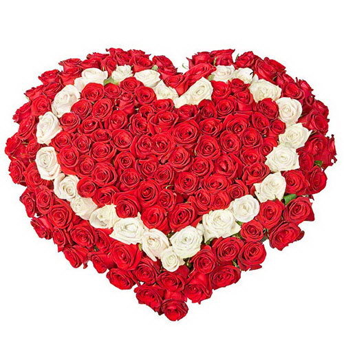 Фото товара 101 роза сердцем - красная, белая, красная в Кременчуге