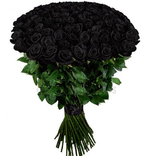Фото товара 101 чёрная роза (крашеная) в Кременчуге