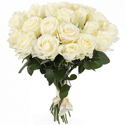 Фото товара 21 белая роза в Кременчуге
