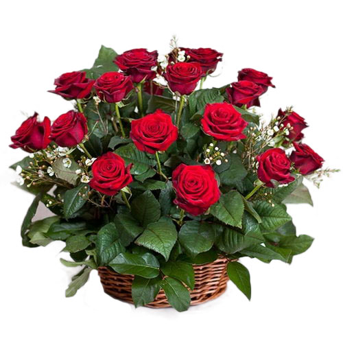 Фото товара 21 красная роза в корзине в Кременчуге