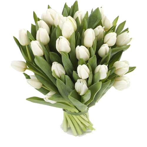 Фото товара 25 белых тюльпанов в Кременчуге