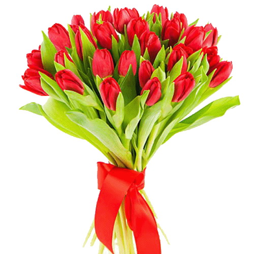 Фото товара 25 красных тюльпанов в Кременчуге