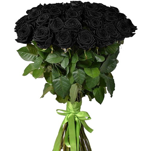 Фото товара 25 чёрных роз (крашеных) в Кременчуге