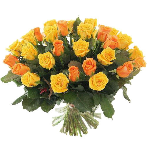 Фото товара 51 желтая и кремовая роза в Кременчуге
