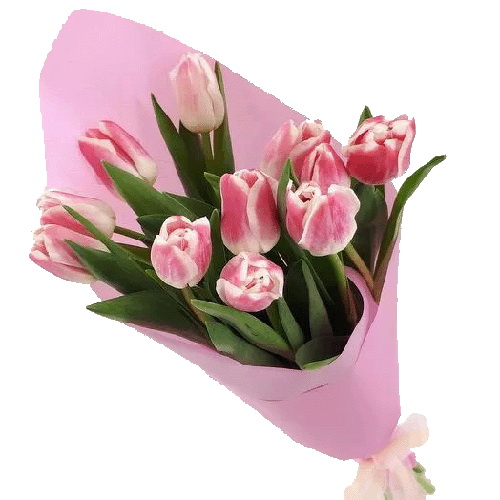Фото товара 11 розовых тюльпанов в Кременчуге
