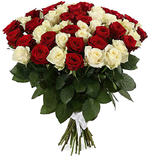 Фото товара 51 роза красная и белая в Кременчуге