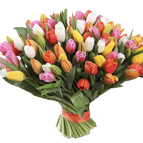 Фото товара 101 разноцветный тюльпан в Кременчуге