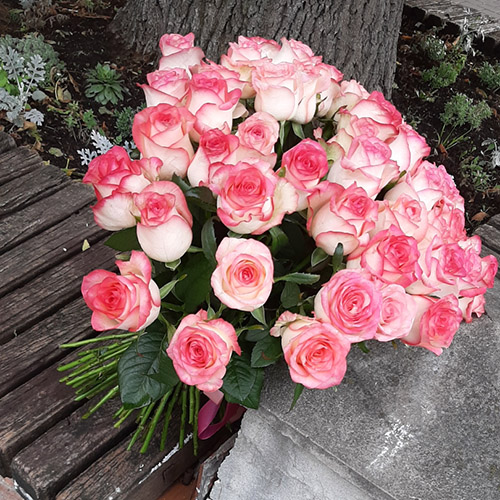 живе фото товару "51 роза «Джумилия»"