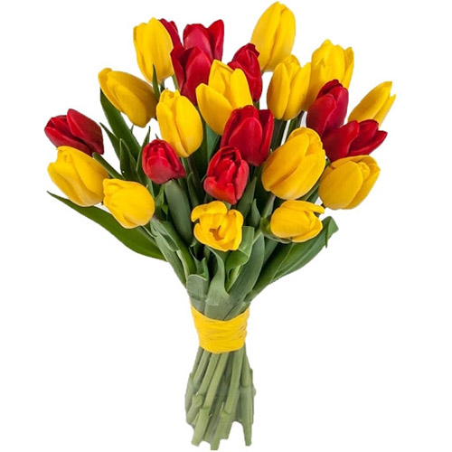 Фото товара 15 красно-жёлтых тюльпанов (с лентой) в Кременчуге