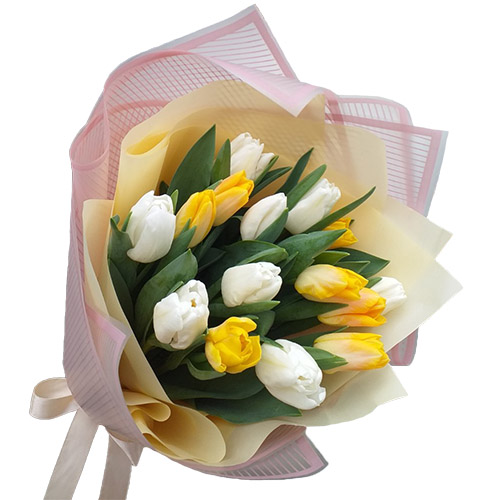 Фото товара 15 бело-жёлтых тюльпанов в Кременчуге
