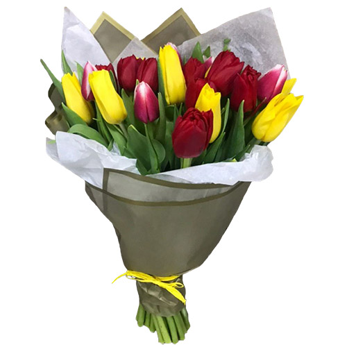Фото товара 21 красно-жёлтый тюльпан в двойной упаковке в Кременчуге
