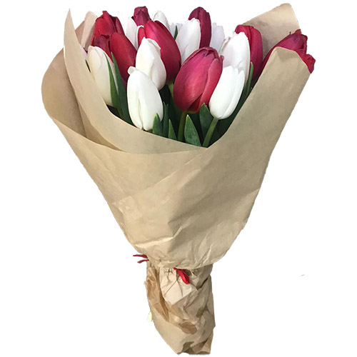Фото товара 21 красно-белый тюльпан в крафт в Кременчуге