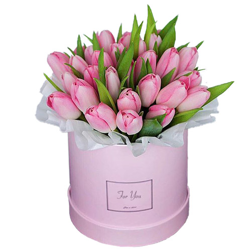 Фото товара 31 нежно-розовый тюльпан в коробке в Кременчуге