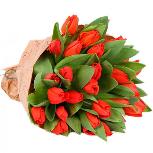 Фото товара 35 красных тюльпанов в "газете" в Кременчуге