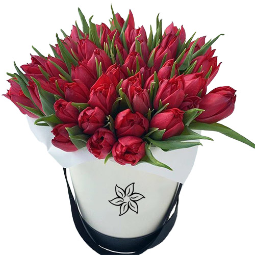 Фото товара 45 алых тюльпанов в коробке в Кременчуге