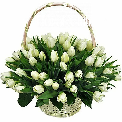 Фото товара "Сахарная вата" 51 белый тюльпан в корзине в Кременчуге
