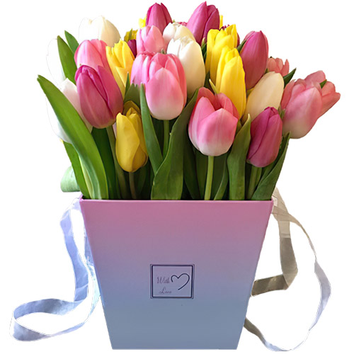 Фото товара 31 тюльпан "Весенний ветер" в квадратной коробке в Кременчуге