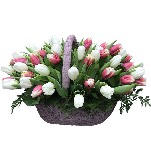 Фото товара 51 бело-розовый тюльпан в корзине в Кременчуге