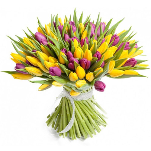 Фото товара 75 фиолетово-жёлтых тюльпанов в Кременчуге