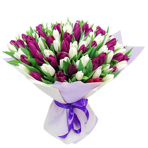 Фото товара 75 пурпурно-белых тюльпанов в Кременчуге