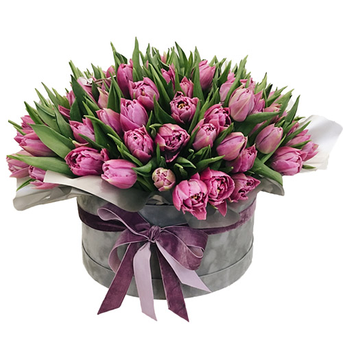Фото товара 101 пурпурный тюльпан в коробке в Кременчуге