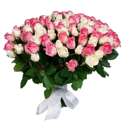 Фото товара 101 белая и розовая роза в Кременчуге