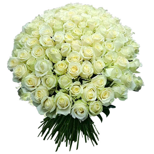 Фото товара 101 белая роза в Кременчуге