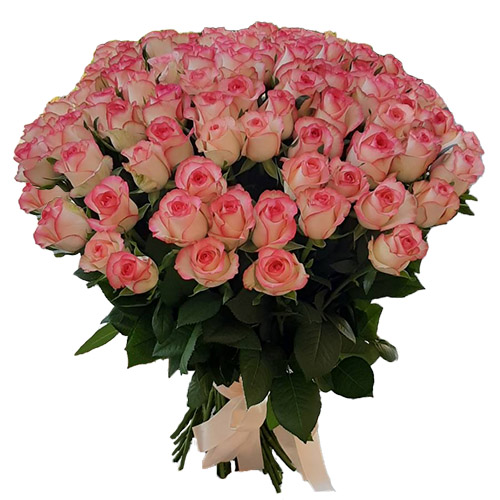 Фото товара 101 роза "Джумилия" в Кременчуге