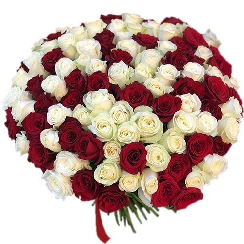 Фото товара 101 красная и белая роза в Кременчуге