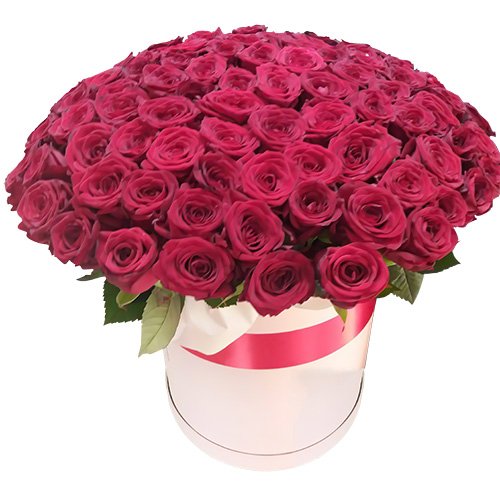 Фото товара 101 роза красная в шляпной коробке в Кременчуге