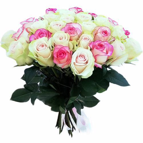 Фото товара 33 кремовые и розовые розы в Кременчуге