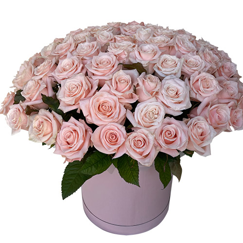 Фото товара 101 розовая роза в коробке в Кременчуге