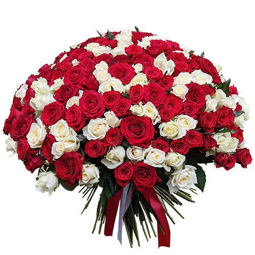 Фото товара 201 красная и белая роза в Кременчуге