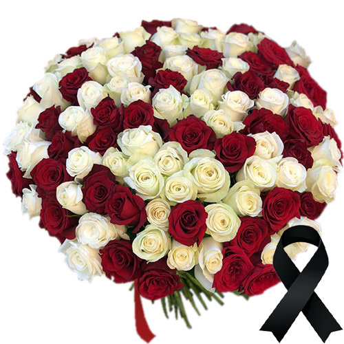Фото товара 100 красно-белых роз в Кременчуге