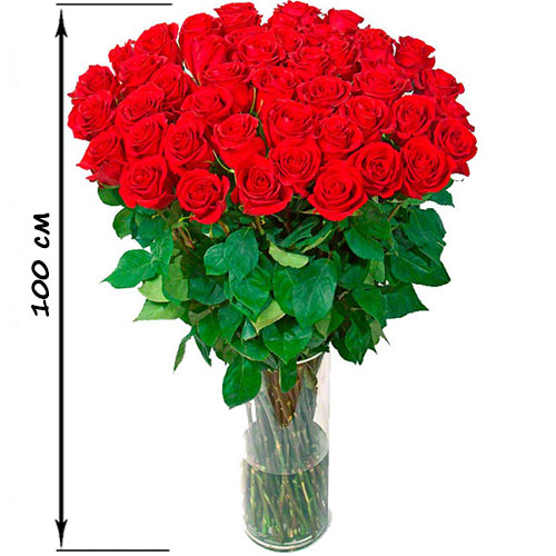 Фото товара 35 высоких роз (100 см) в Кременчуге
