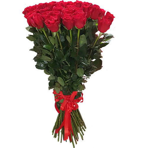 Фото товара 25 метровых роз "Фридом" в Кременчуге