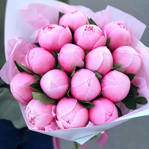 Фото товара 15 розовых пионов в Кременчуге