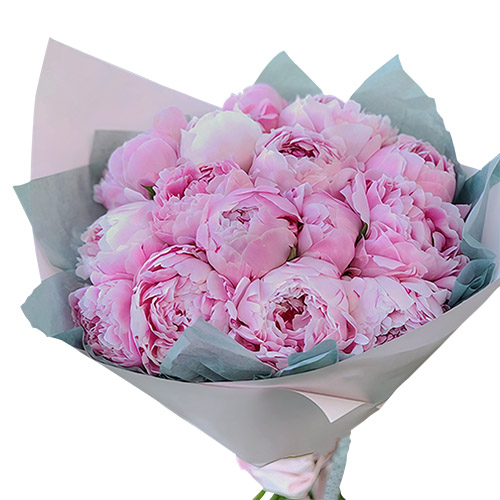 Фото товара 19 розовых пионов в Кременчуге