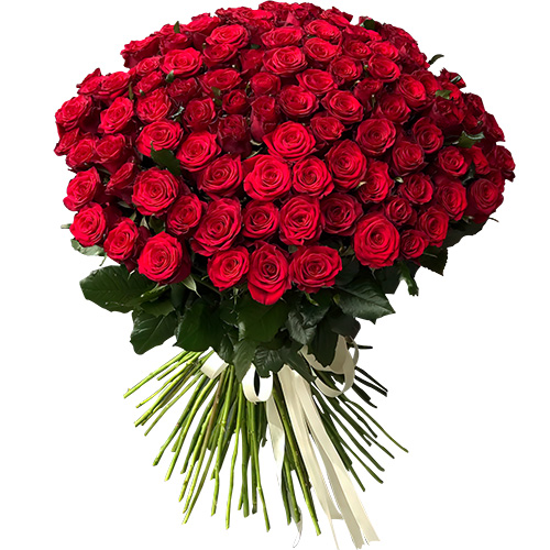 Фото товара 101 роза красная в Кременчуге