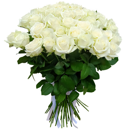 Фото товара 51 роза белая в Кременчуге