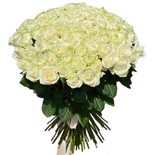 Фото товара 101 роза белая в Кременчуге