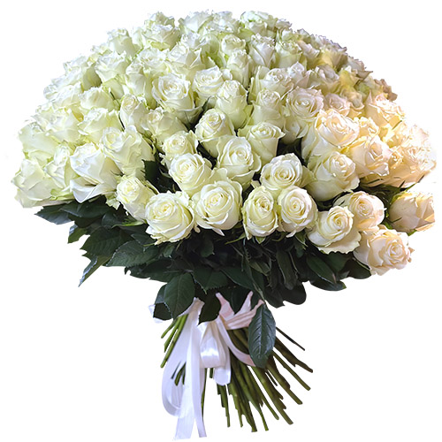 Фото товара 101 белая импортная роза в Кременчуге