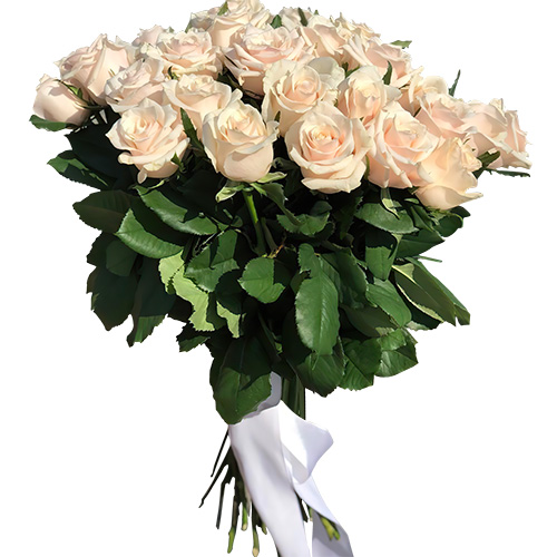 Фото товара Букет из 33 кремовых роз в Кременчуге